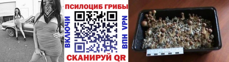 Псилоцибиновые грибы прущие грибы  Мытищи 
